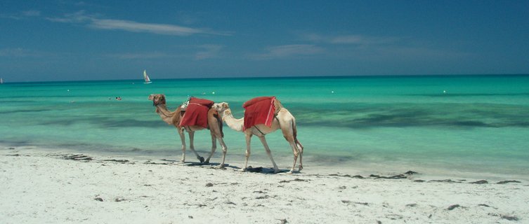 Hitch a ride along Djerba's beaches on a camel