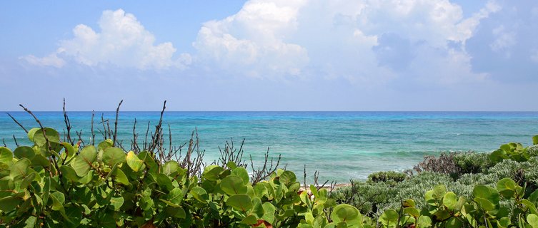 Discover Cozumel's turquoise sea