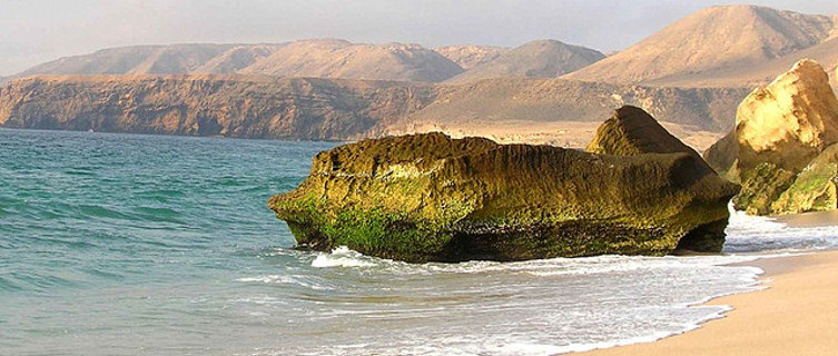 Ras Al Jinz Beach is one of the most popular tourist spots in Oman