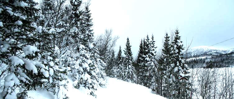 Cross-country skiing trail in Åre