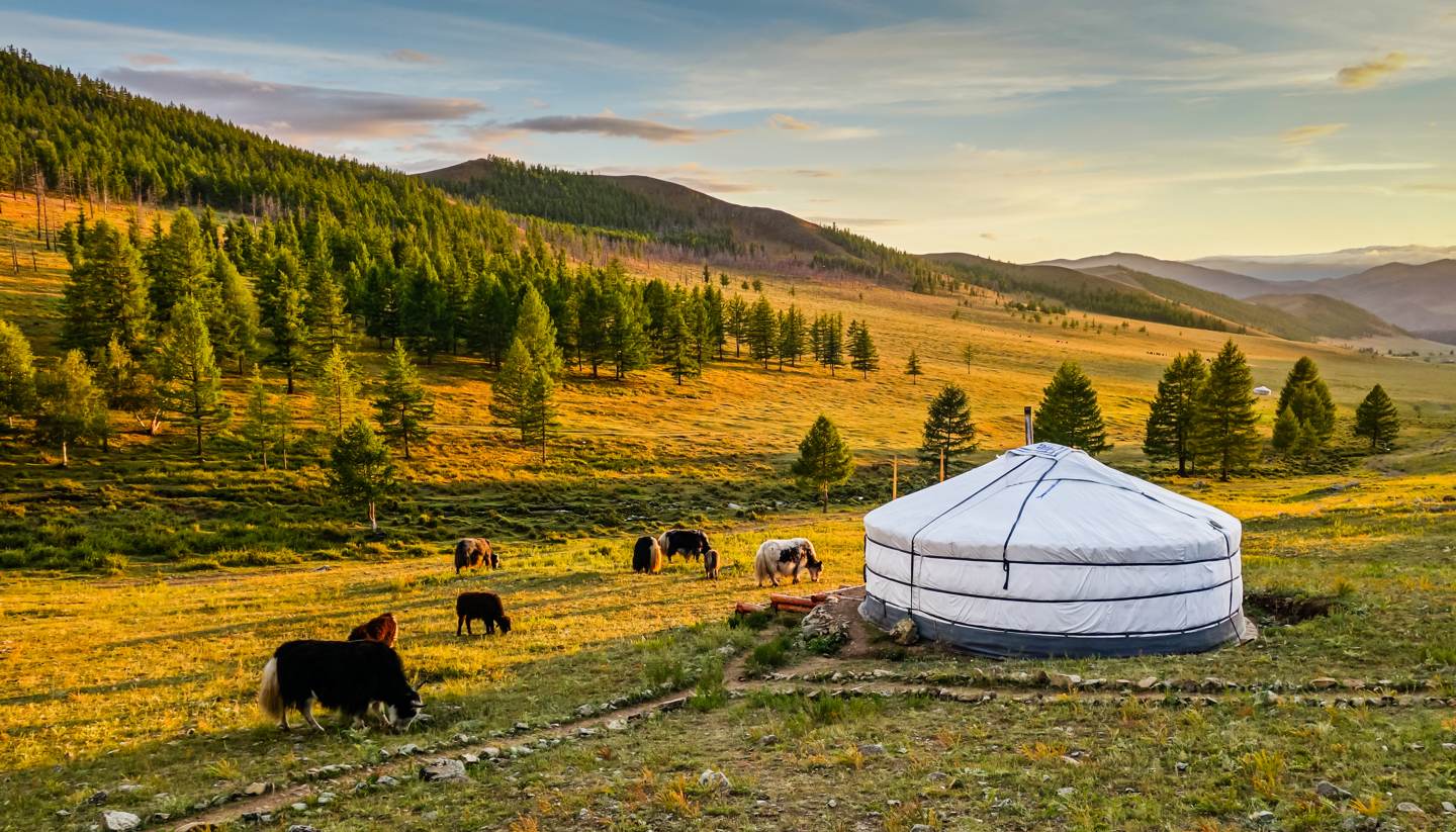 wilderness travel mongolia