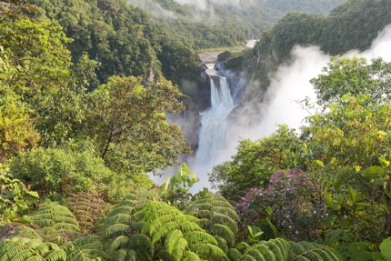 Ecuador protects its Amazon rainforest