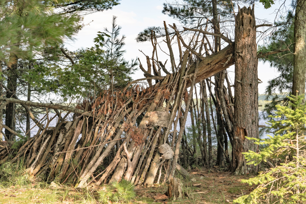 A simple lean-to